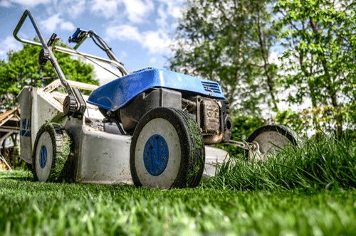 Gartenunterhalt – Rundum-sorglos-Service