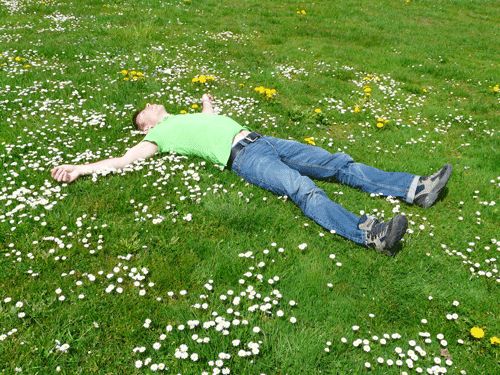Entspannen im gepflegten Garten