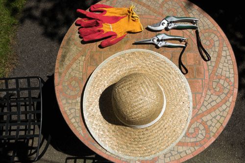 Gartenpflege – Auffrischung Ihres Gartens